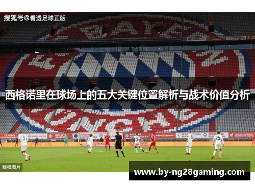 西格诺里在球场上的五大关键位置解析与战术价值分析 西格诺里在球场上的五大关键位置解析与战术价值分析